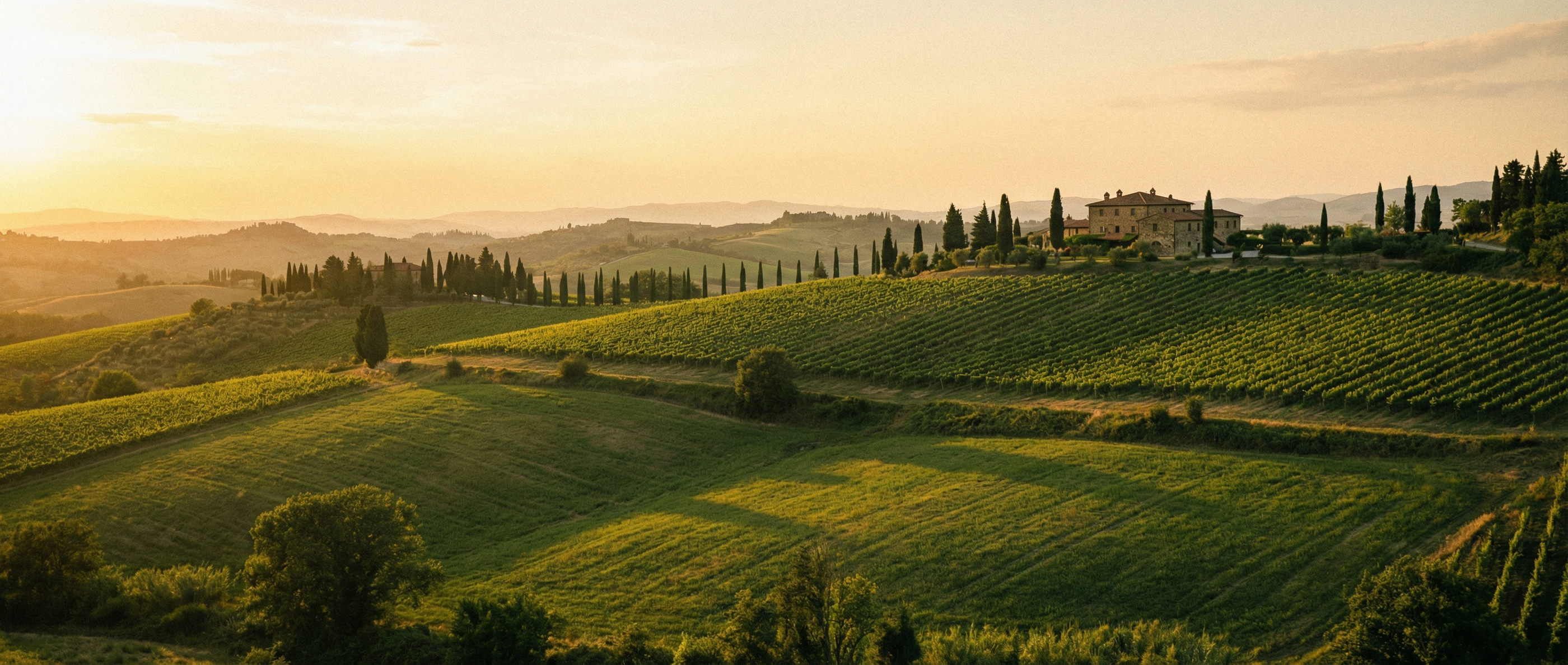 A Beginner's Guide to the World's Great Wine Regions
