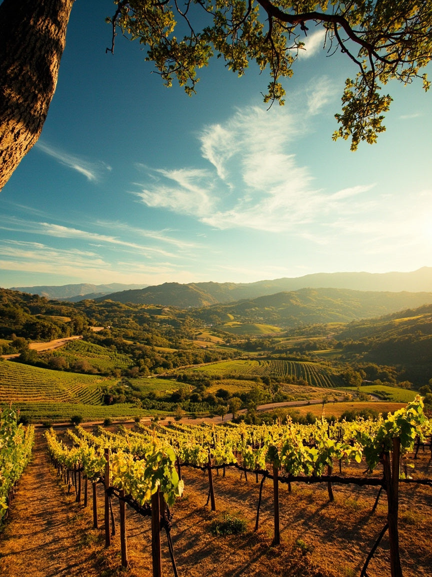 California