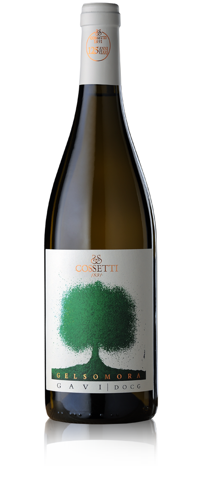 Cossetti – Gavi DOCG “Gelsomora” 2024 — official producer bottle image