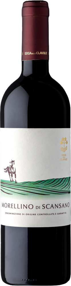 Caparzo Morellino di Scansano DOCG 2024 — official producer bottle image