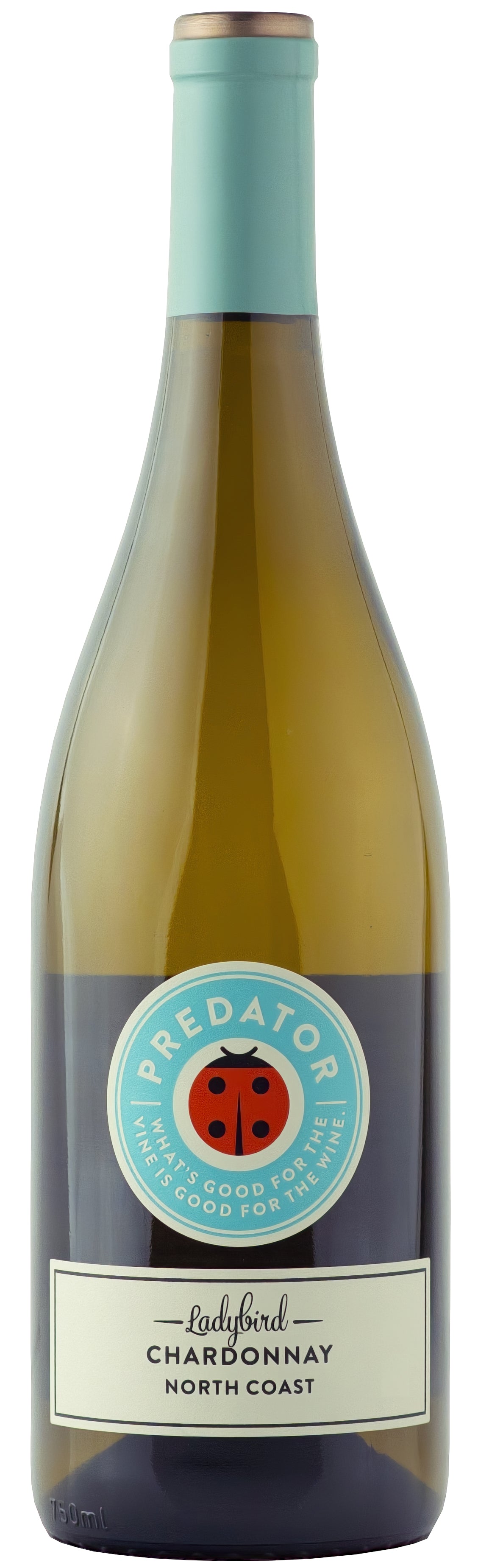 Predator - Chardonnay 2024 - 7 Cellars Wine