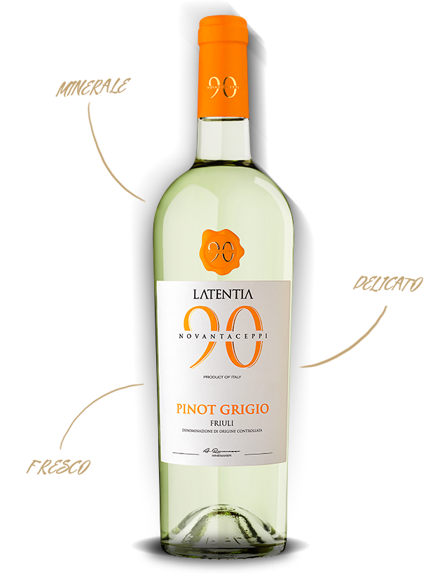 Novantaceppi – Pinot Grigio DOC Friuli 2024 - 7 Cellars Wine