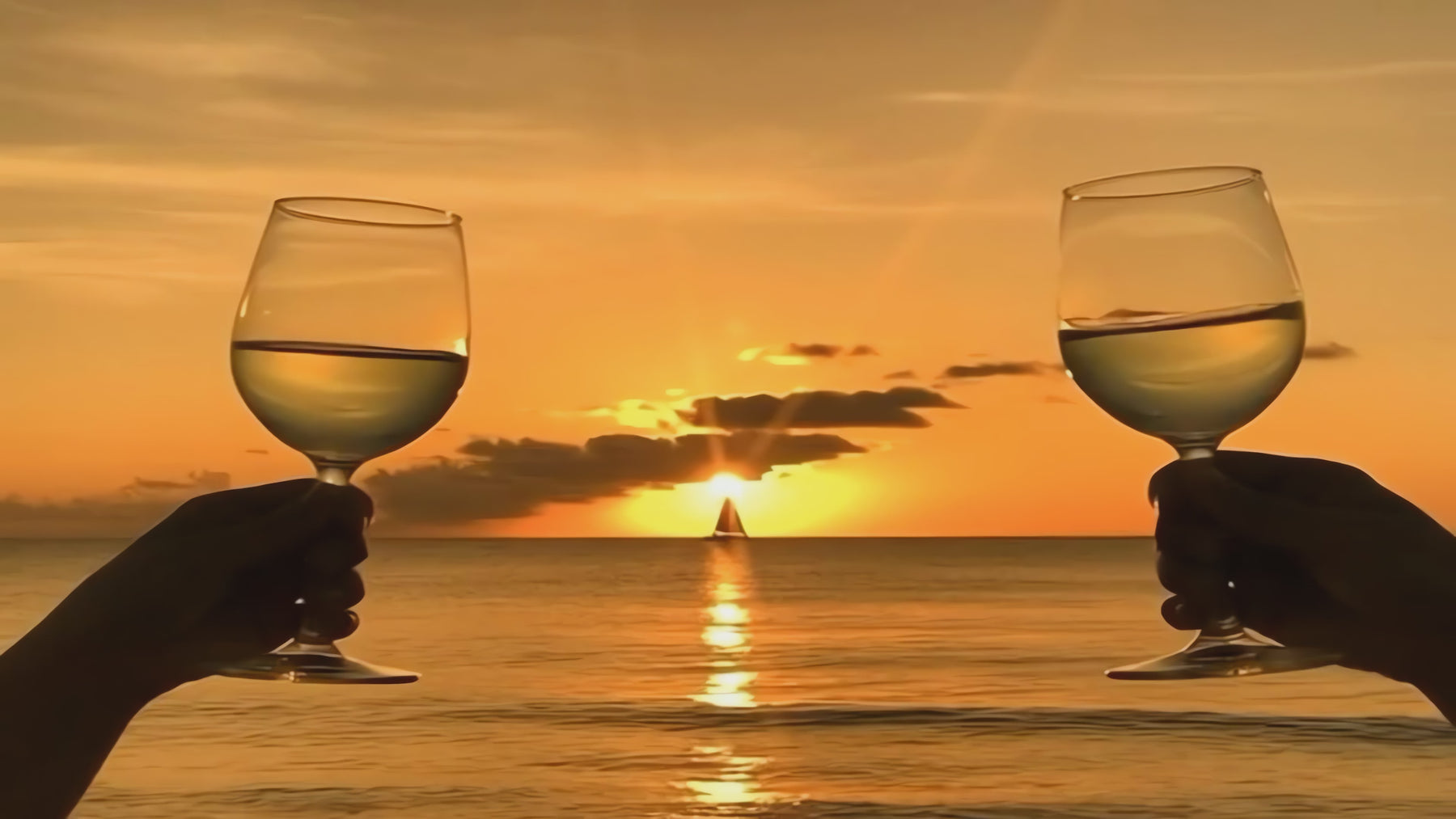 7 Cellars hero - desktop 4K sunset cheers